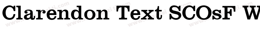 Clarendon Text SCOsF W05 Bold字体转换